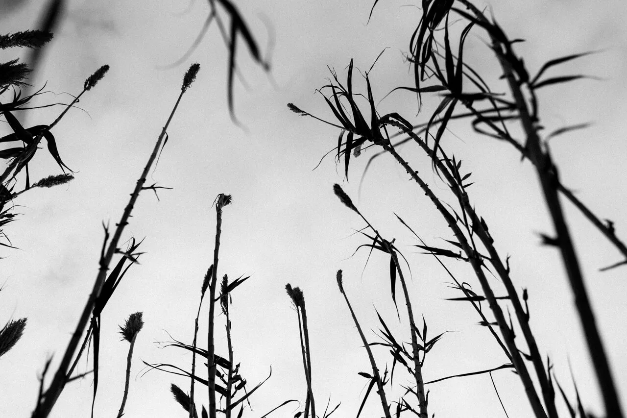 Le Farchie. Fara Filiorum Petri, Italy. Photograph 1 of 25 by Adrian Tanta.