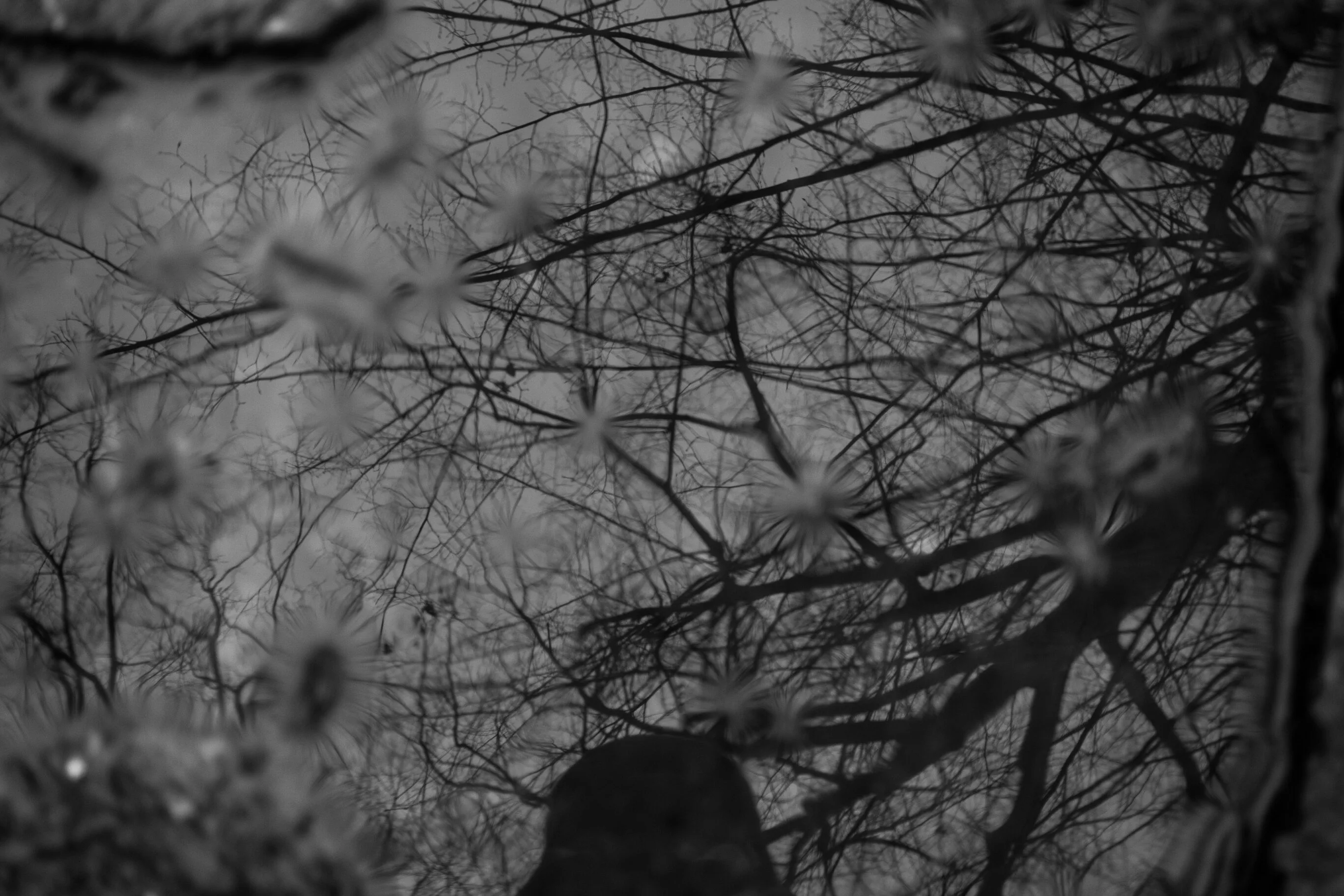 Sensations. Romania. Photograph 12 of 18 by Adrian Tanta.