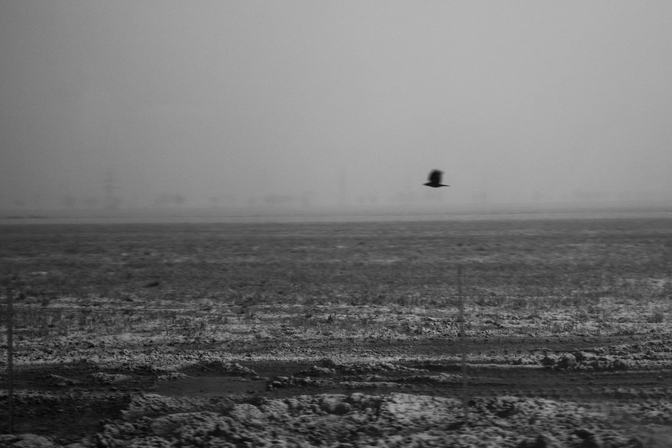 Sensations. Romania. Photograph 3 of 18 by Adrian Tanta.