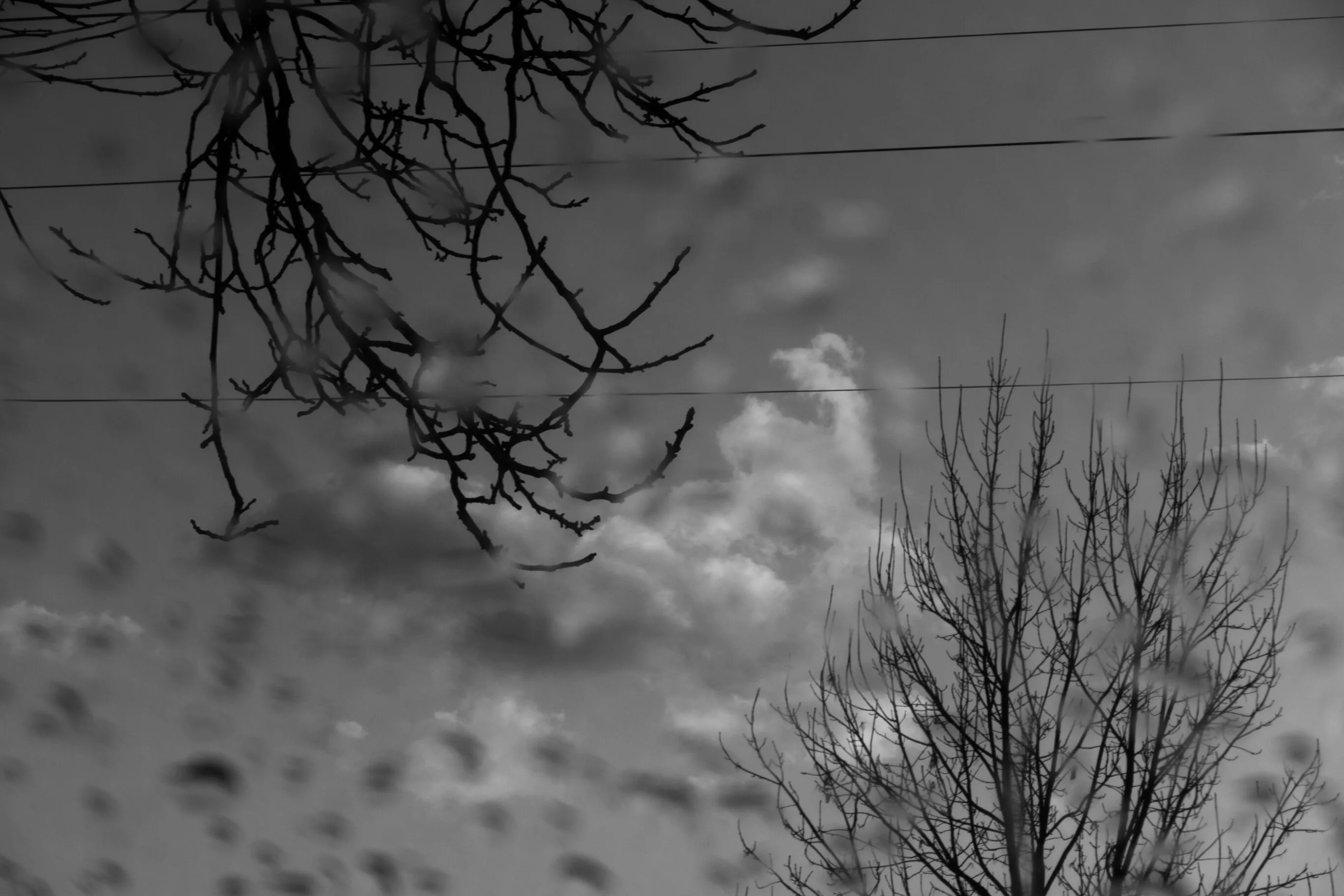 Sensations. Romania. Photograph 6 of 18 by Adrian Tanta.