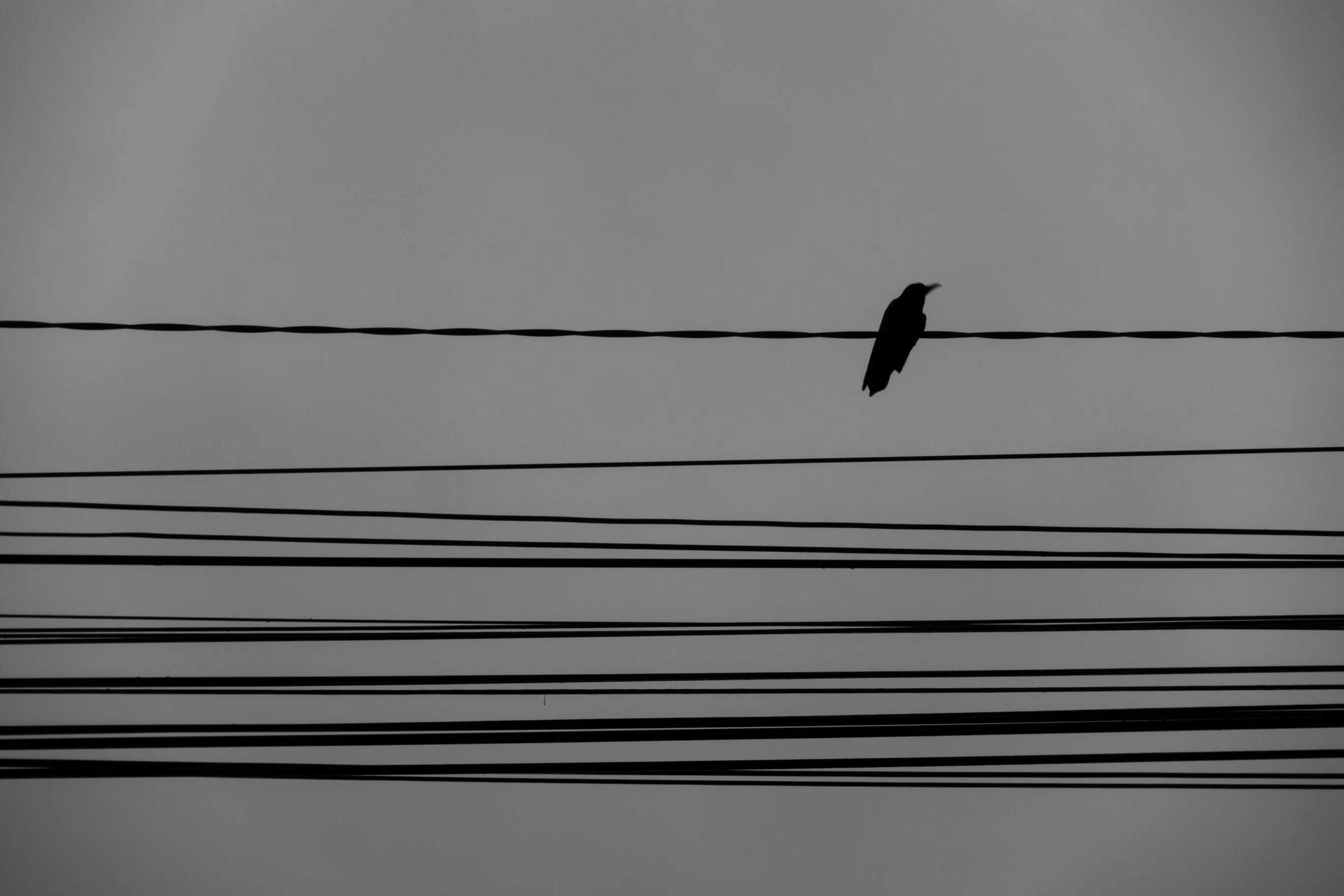 Sensations. Romania. Photograph 7 of 18 by Adrian Tanta.