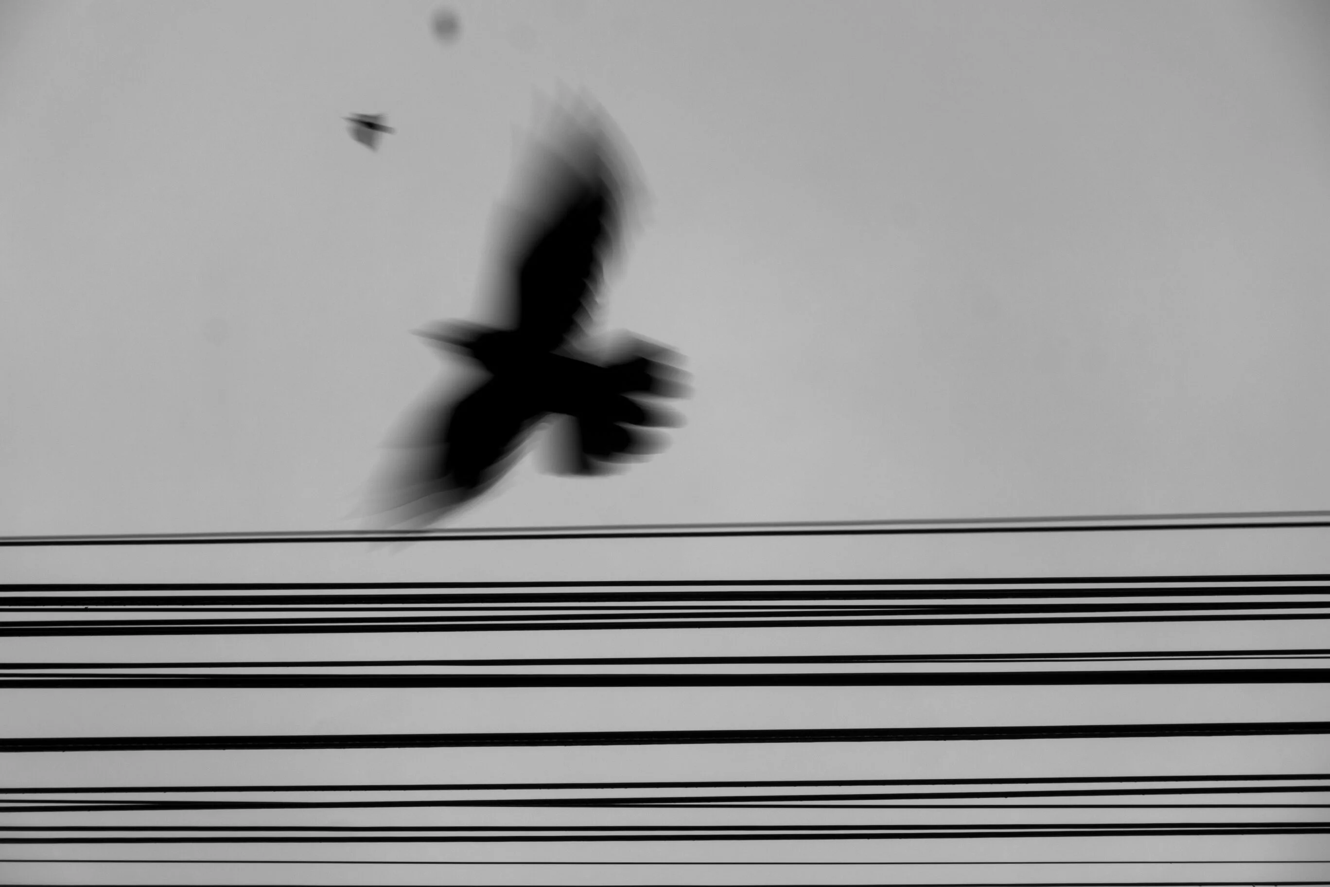 Sensations. Romania. Photograph 8 of 18 by Adrian Tanta.