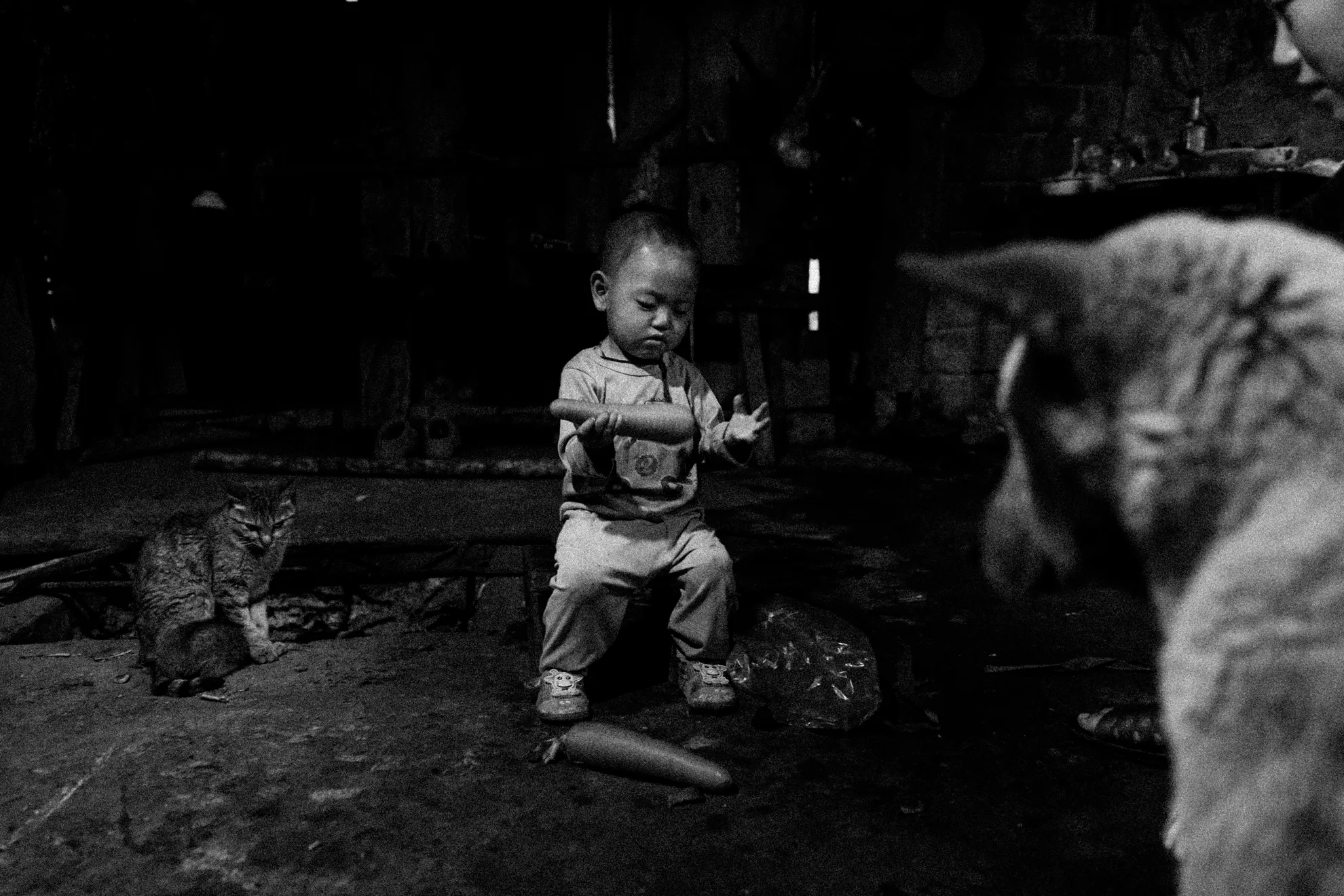 Sa Pa. Sa Pa, Vietnam. Photograph 16 of 33 by Adrian Tanta.