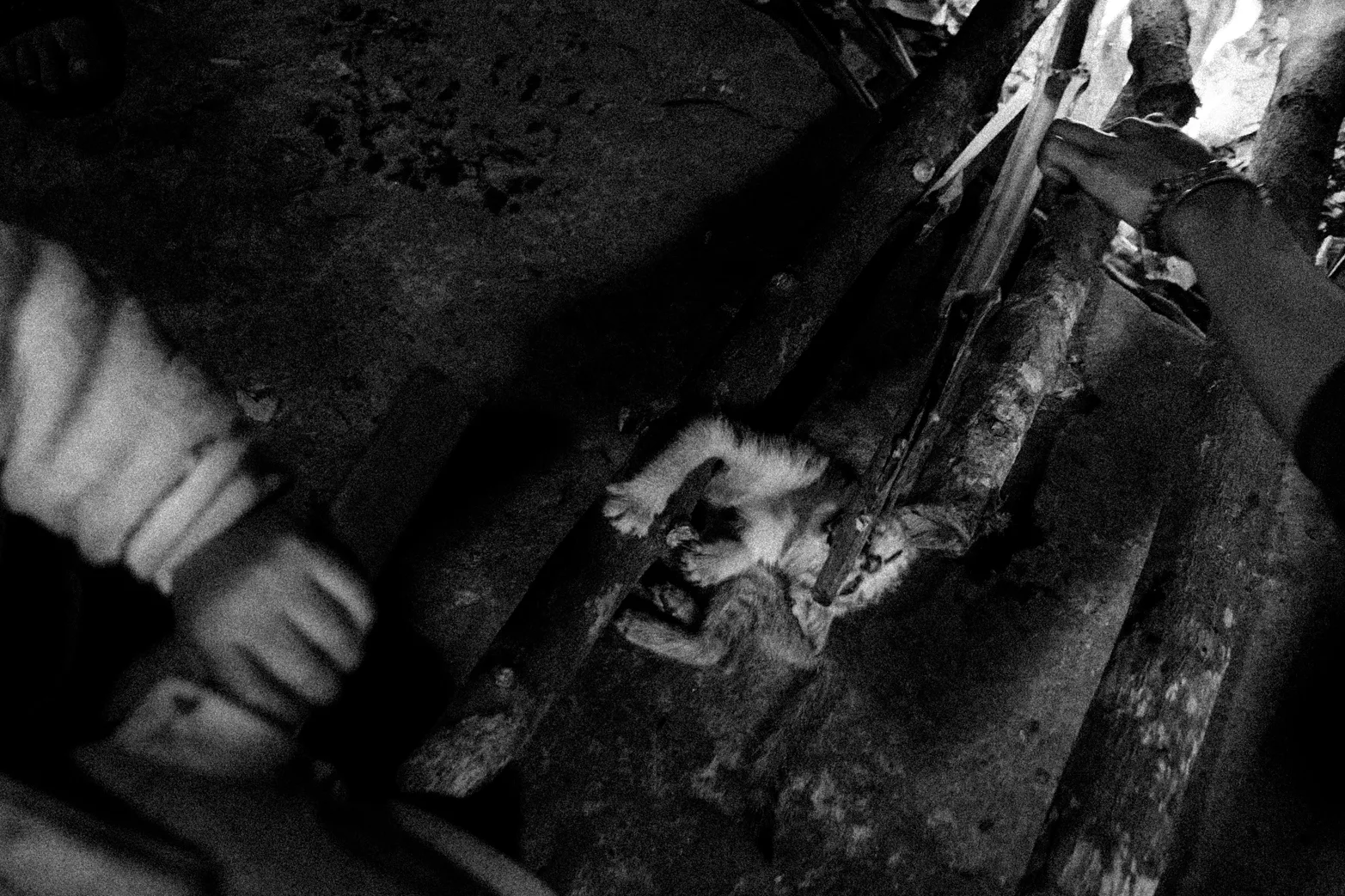 Sa Pa. Sa Pa, Vietnam. Photograph 17 of 33 by Adrian Tanta.