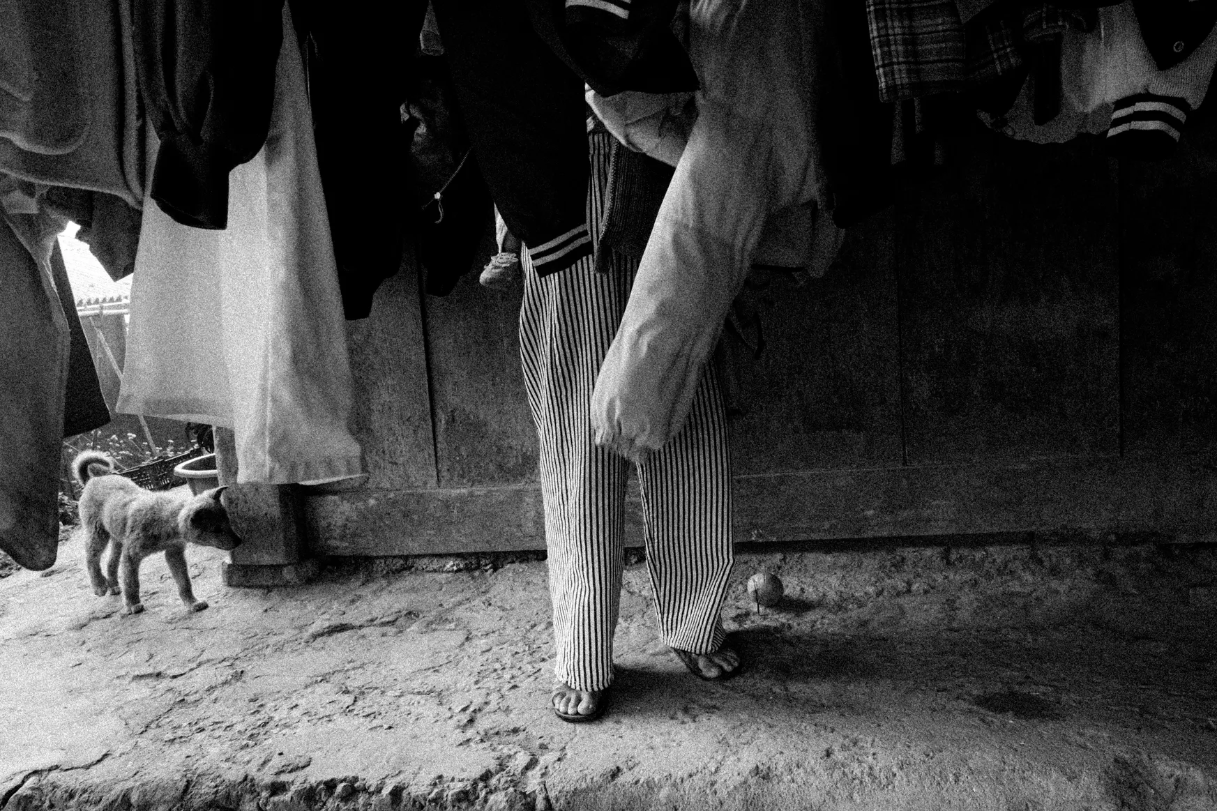 Sa Pa. Sa Pa, Vietnam. Photograph 22 of 33 by Adrian Tanta.